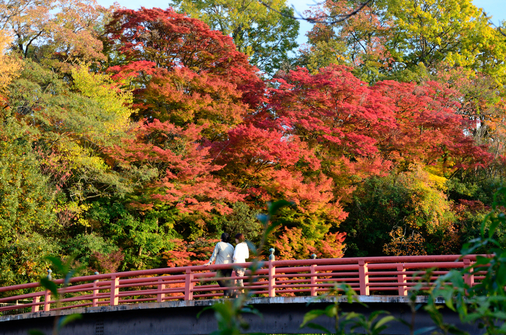 竜田公園_04_ふたり