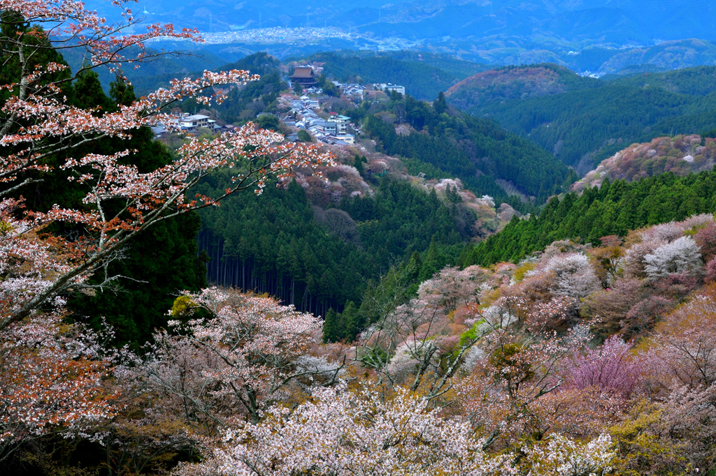 吉野山_04