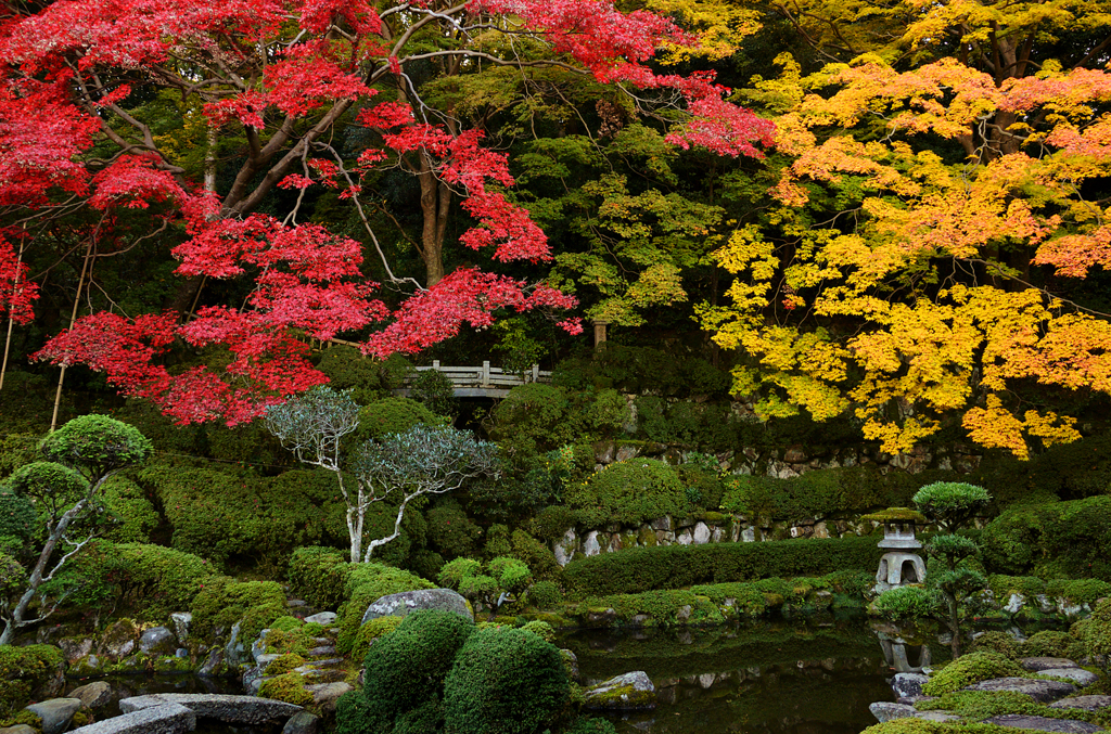 当麻寺_01