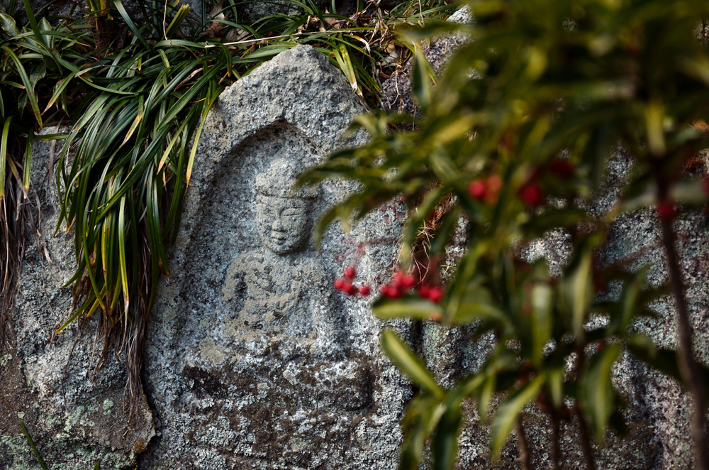 石仏と万両