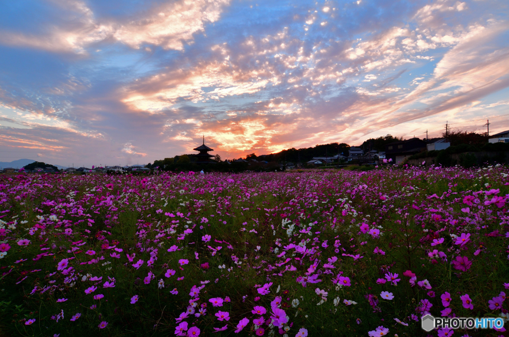 法起寺の夕暮れ