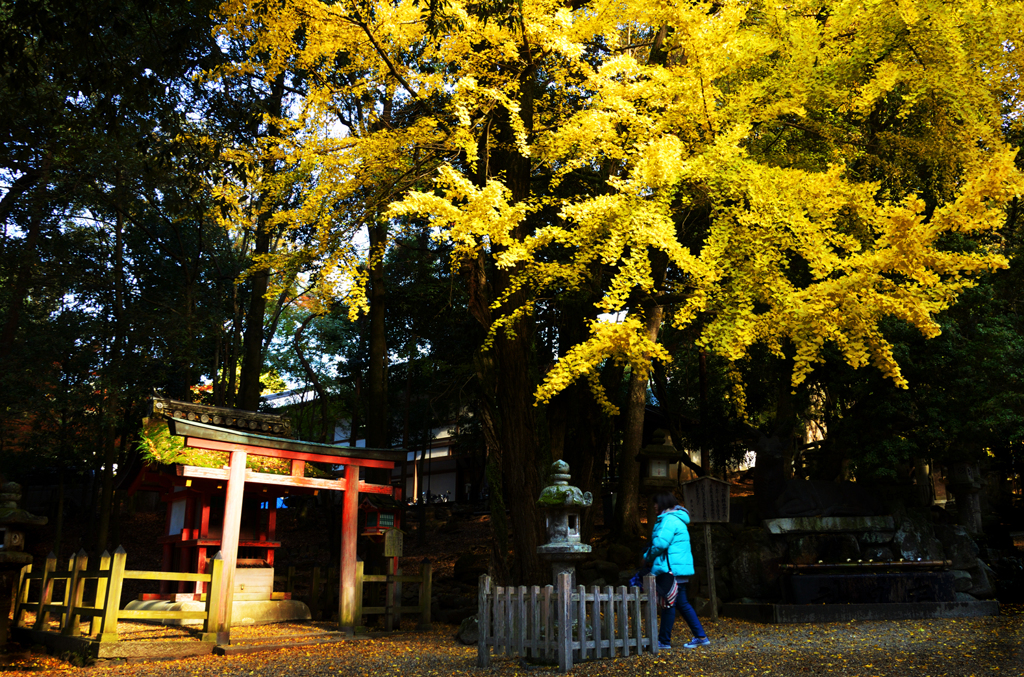 奈良公園_10_祓戸神社