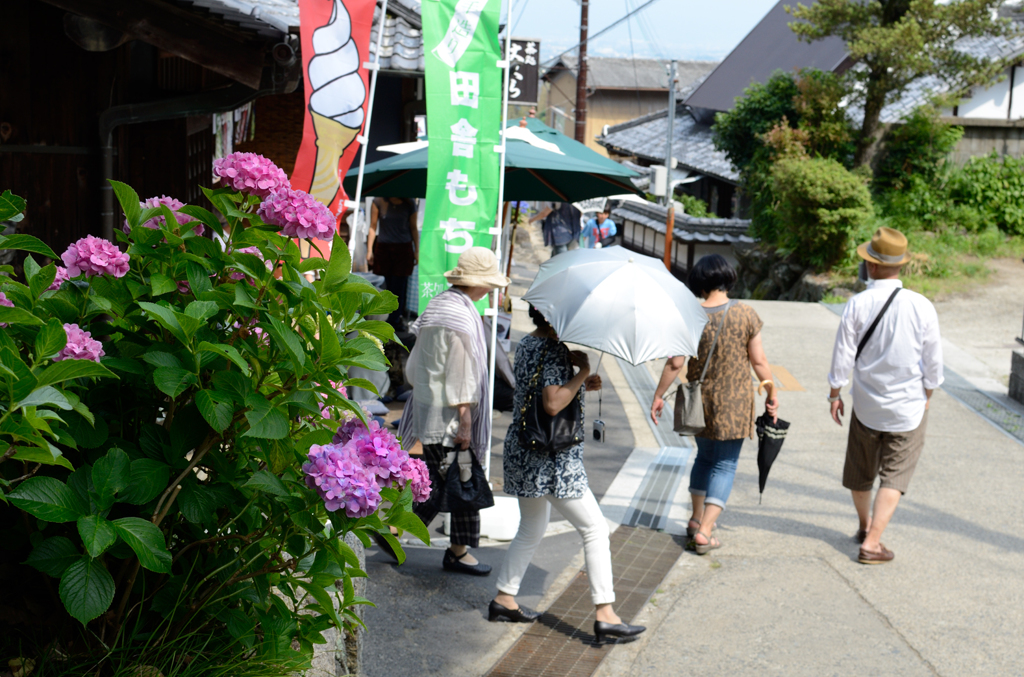 矢田寺_01
