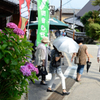 矢田寺_01
