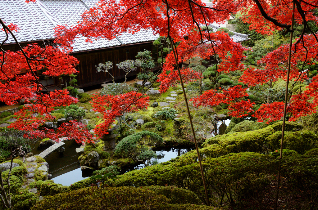 当麻寺_05