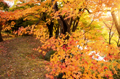 竜田公園_02