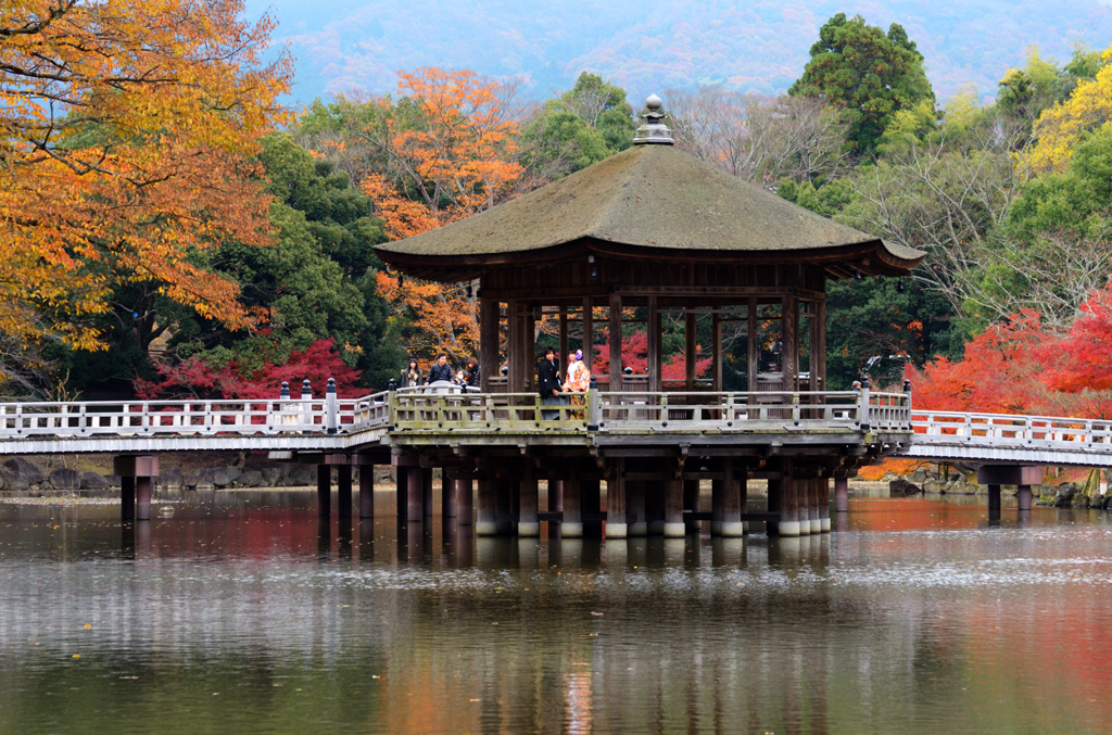 奈良公園_13_浮見堂