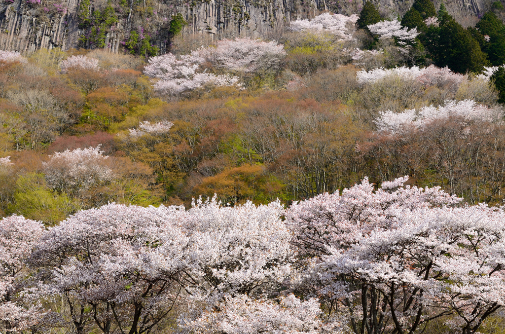 屏風岩_02