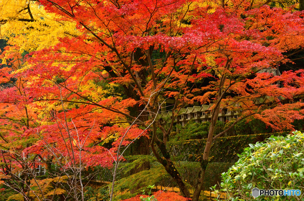 紅葉の信貴山_03