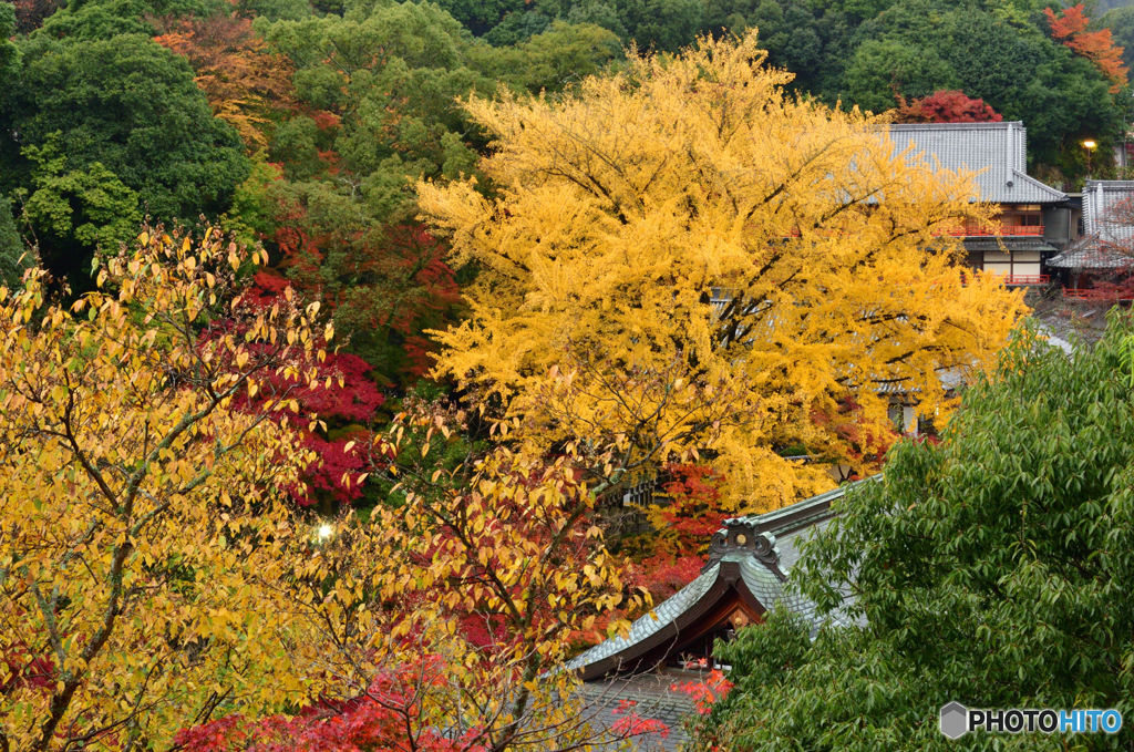 紅葉の信貴山_05