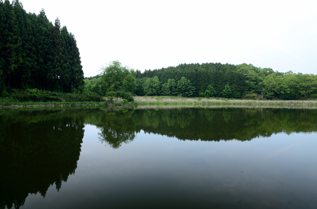 水と緑の静寂_02