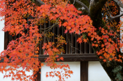 秋の法隆寺_02_連子窓ともみじ