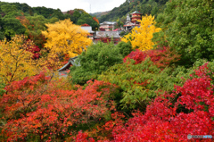 紅葉の信貴山_01