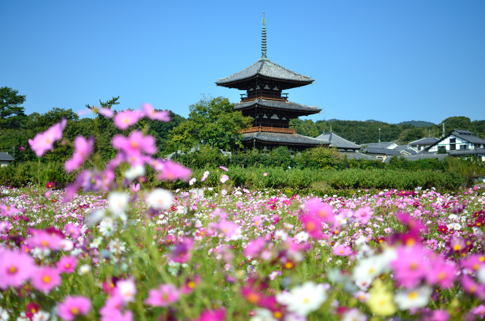 法起寺の秋