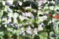 窓明