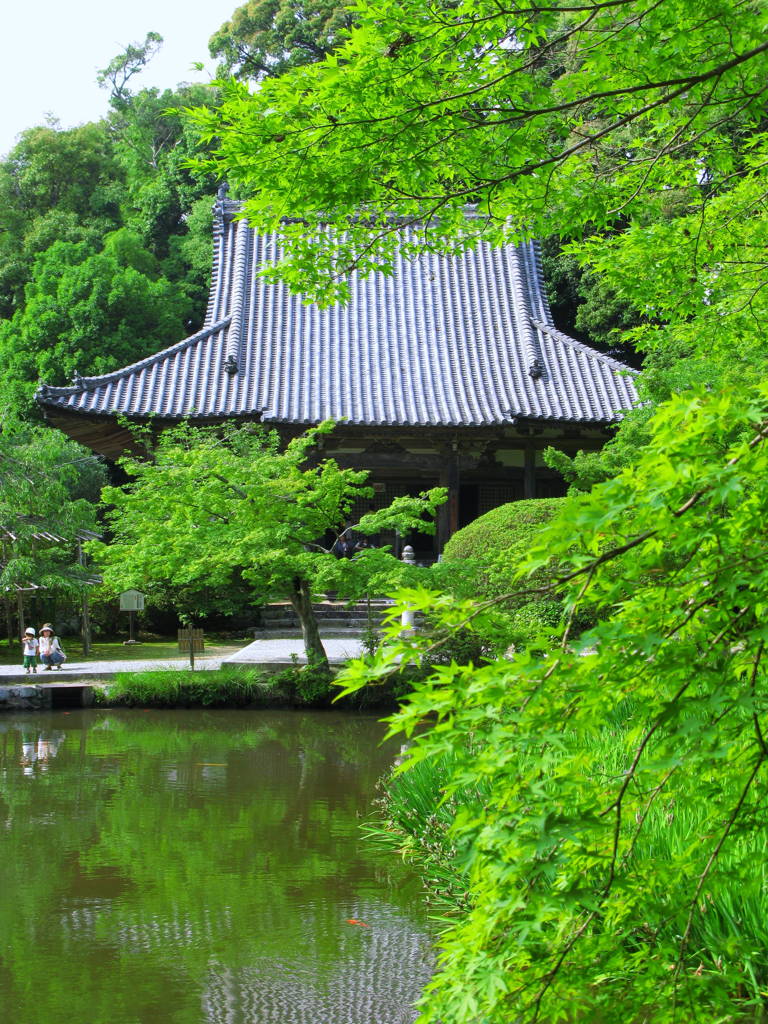 新緑の寺
