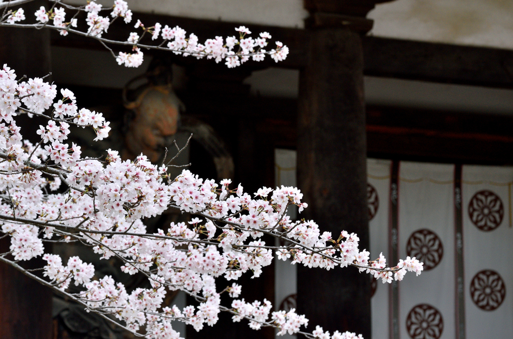 法隆寺_02
