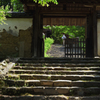 新緑の白毫寺