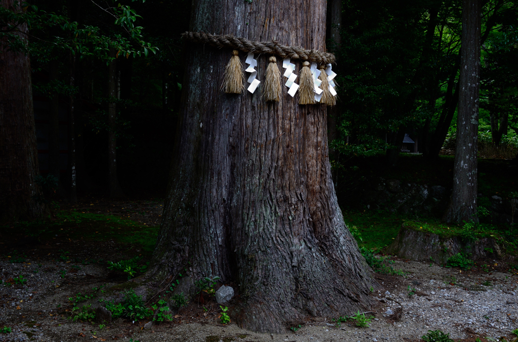 北畠神社_02