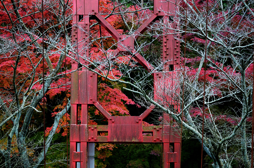 鉄と紅葉