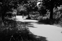 DSC_0869