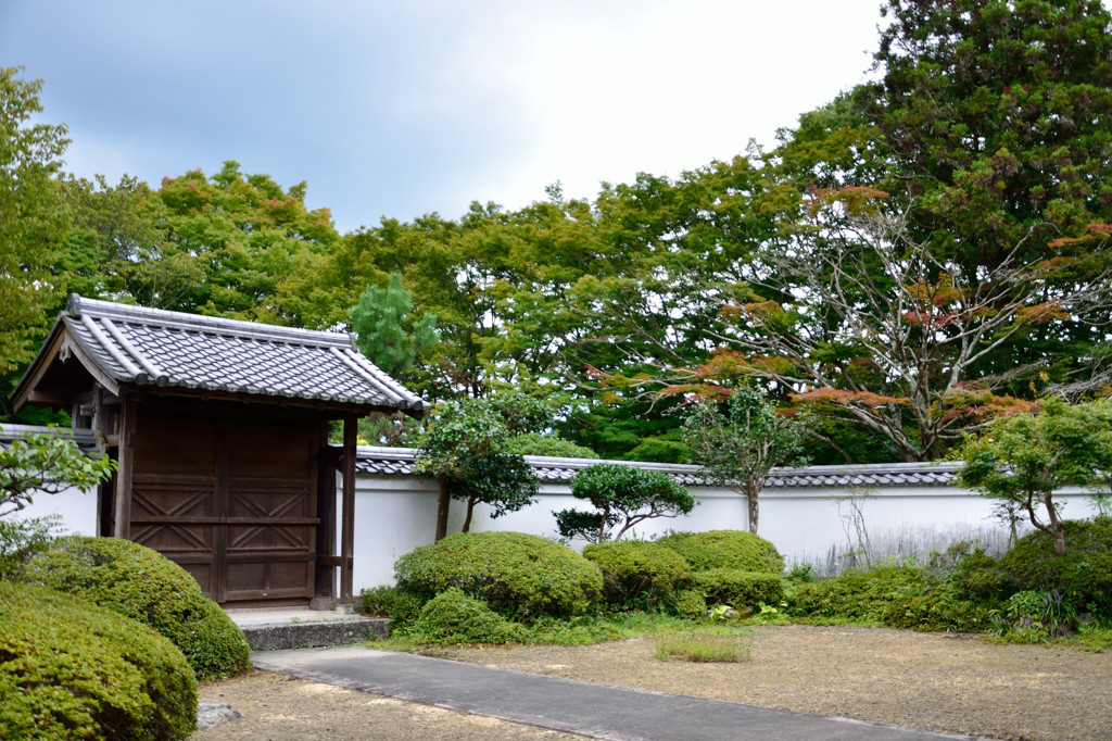 芳徳寺_01