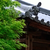 新緑の寺_01