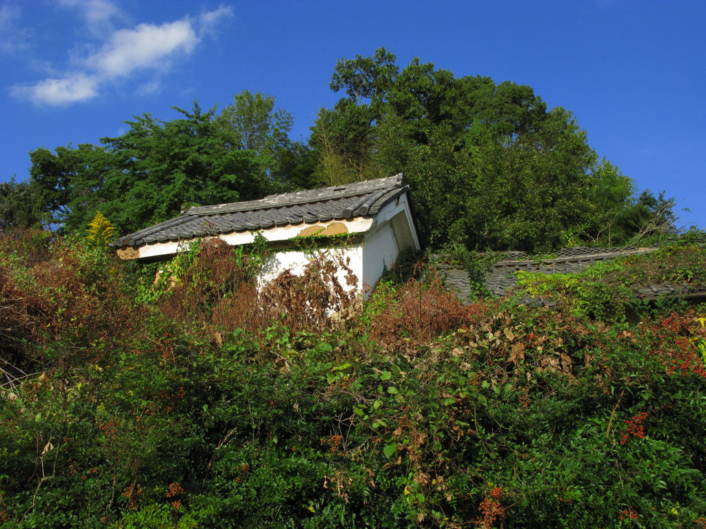 廃屋