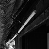 和の陰影_05