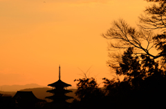 冬茜の法隆寺_03