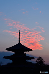 寒茜の法起寺