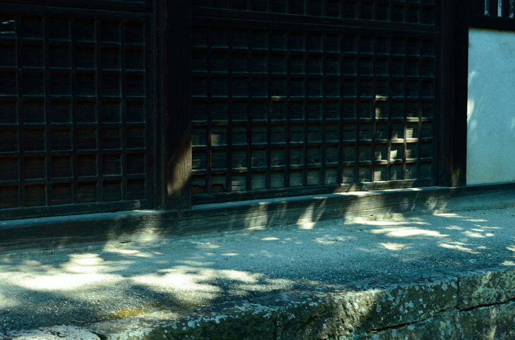 寺の木漏れ日