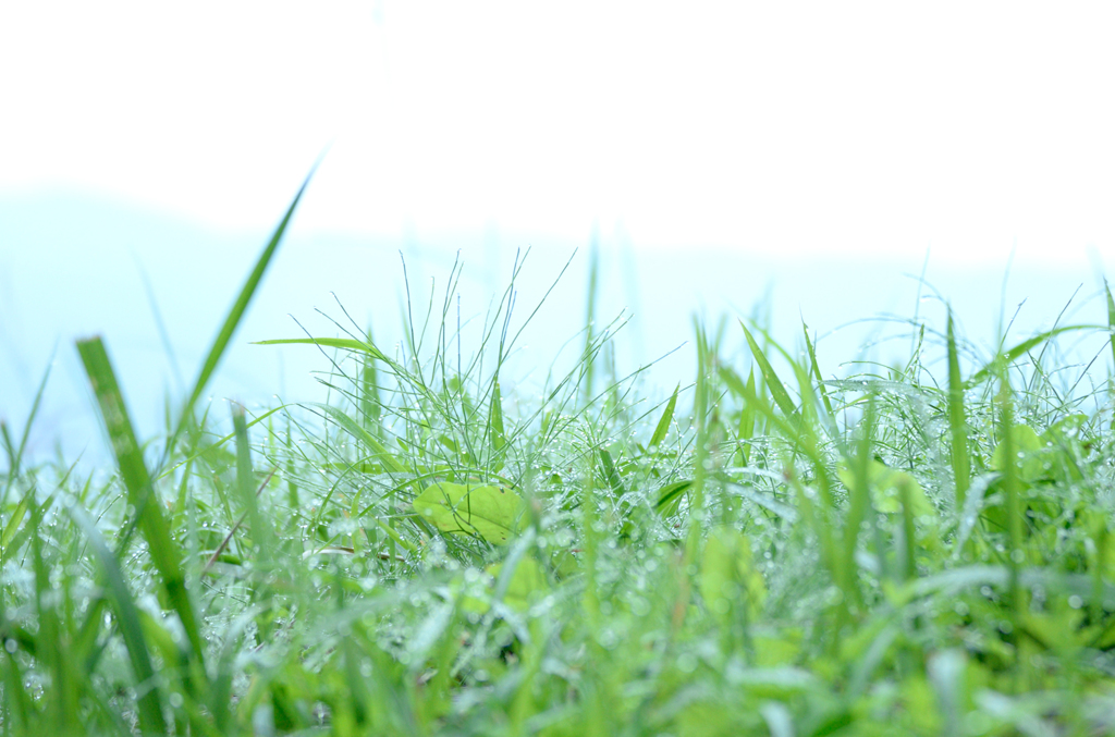 朝の空気