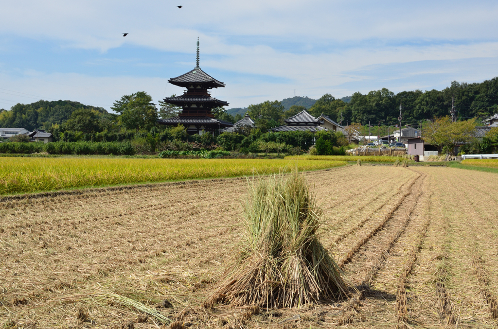 秋の法起寺