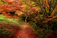 鳥見山_06