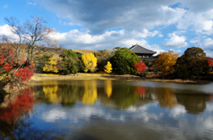 奈良公園_01_大仏池