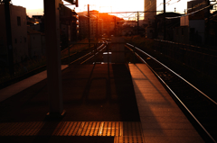 菊名