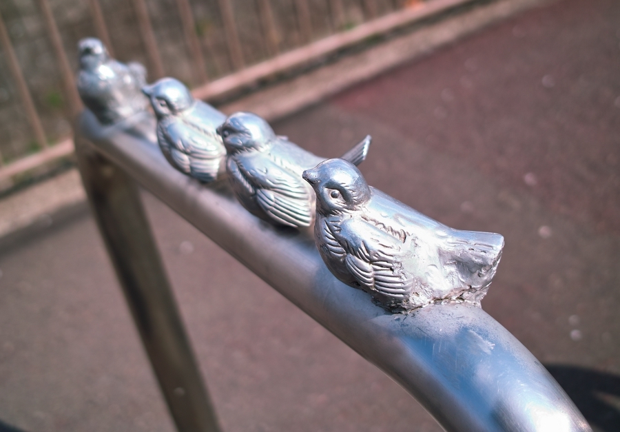 サンド島の４羽だと・・・！？