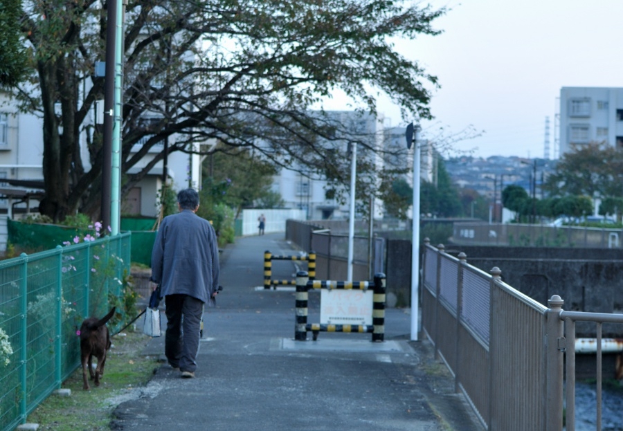 背中