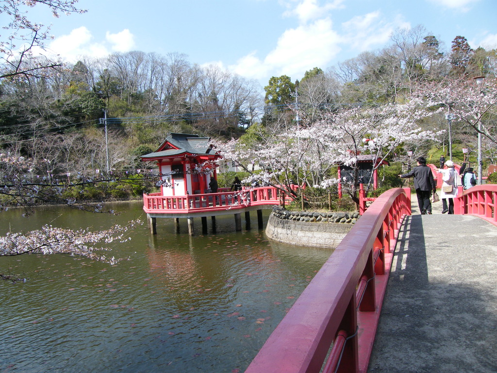 茂原公園027