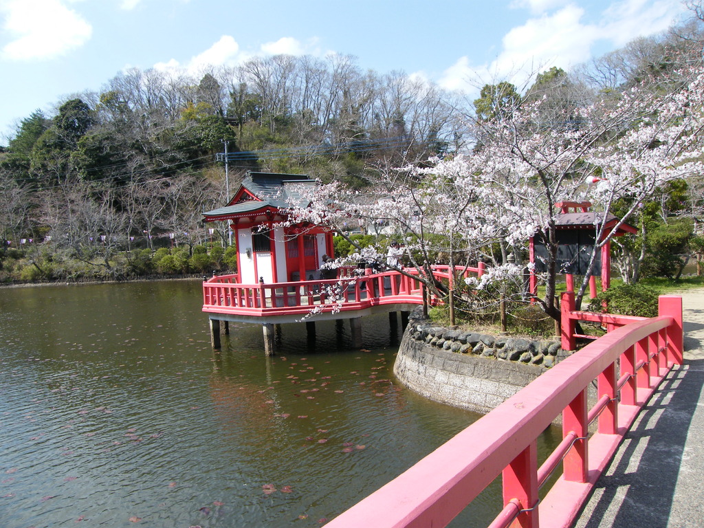 茂原公園024