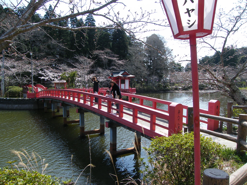 茂原公園009