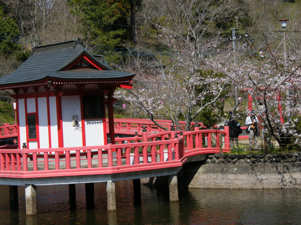 茂原公園029