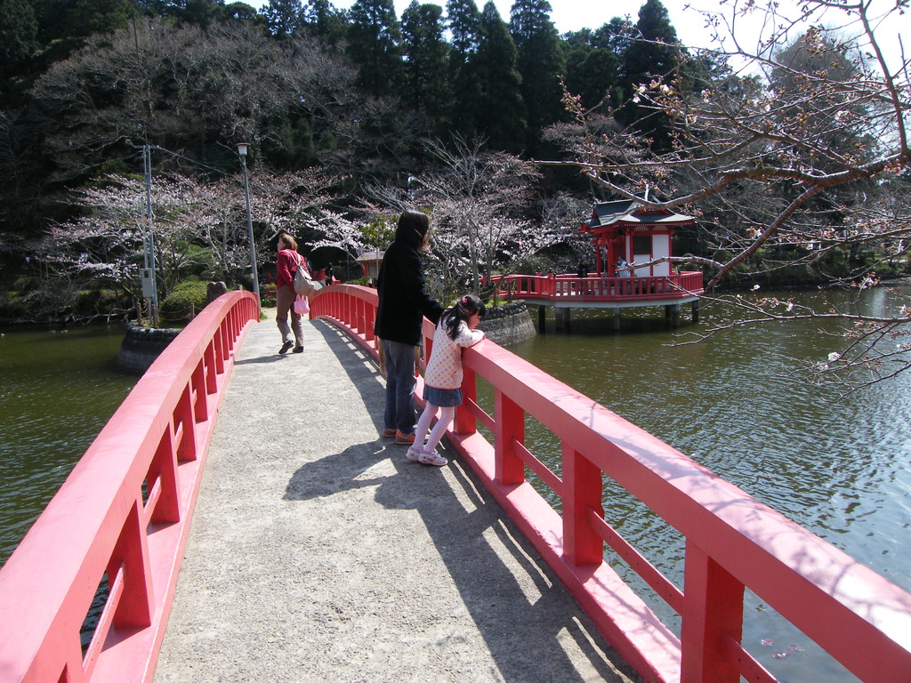 茂原公園014