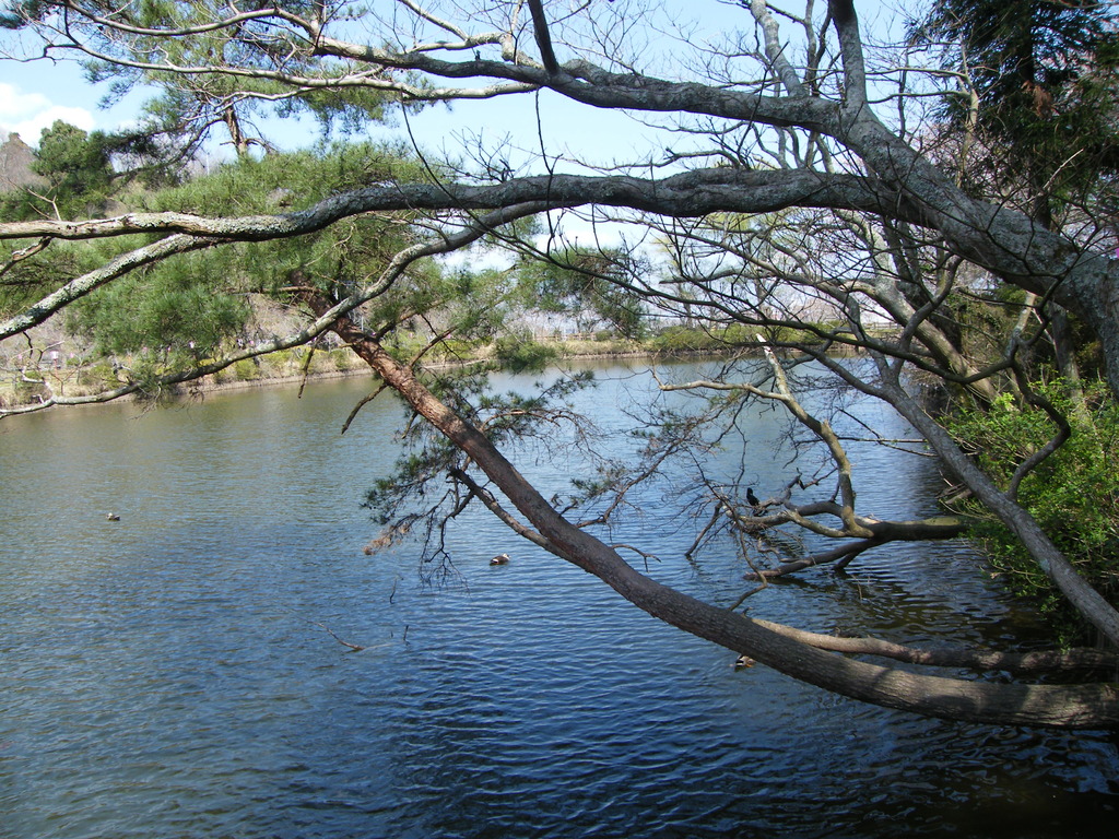 茂原公園026