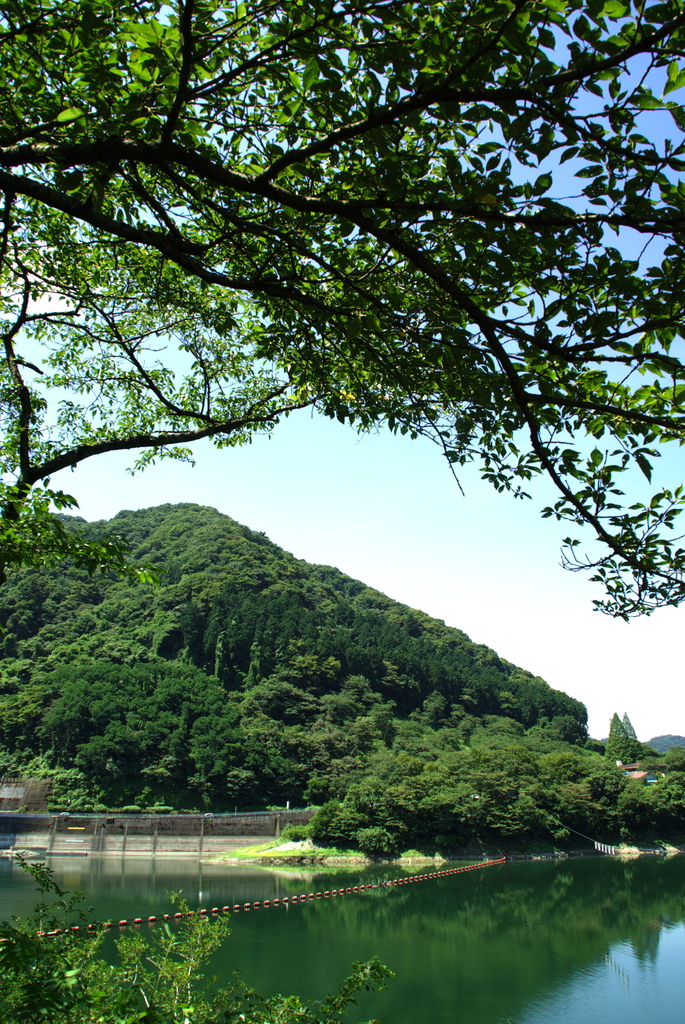 同じく相模湖です。