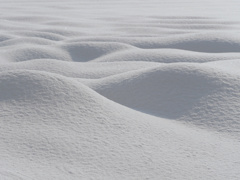 雪景色