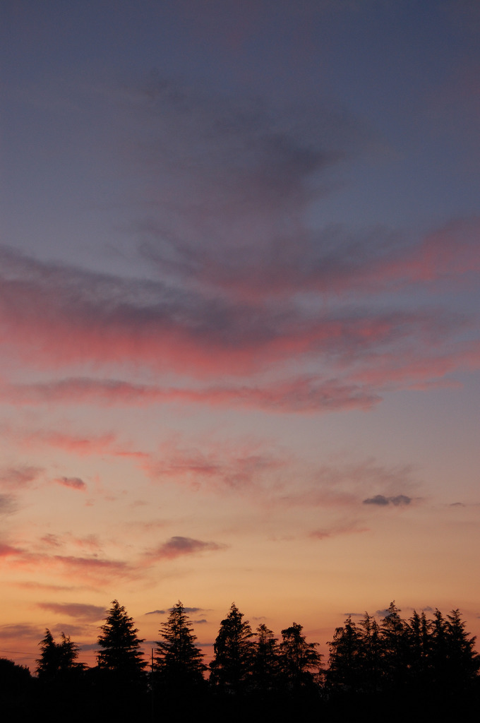 夕焼け空