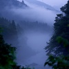 霞