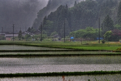 村に降る雨